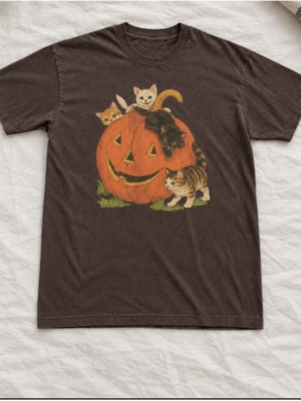 Orange Pumpkin and Multi-Color Kittens Brow T Shirt